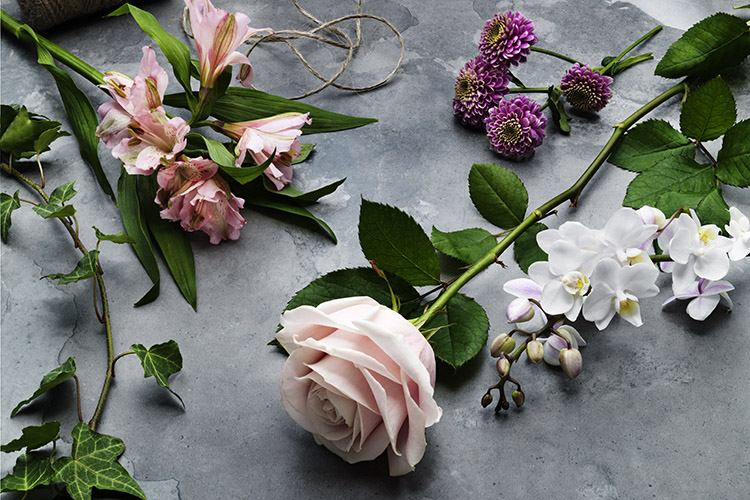 Skötselråd snittblommor